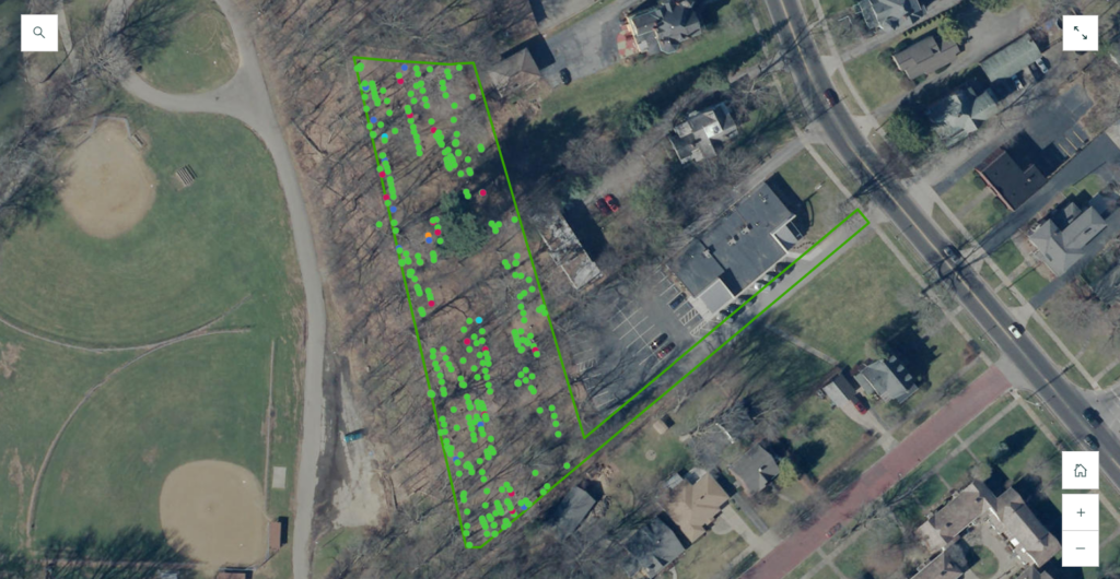 Map of the Pioneer Cemetery made by India Gatts, YSU English and history student.